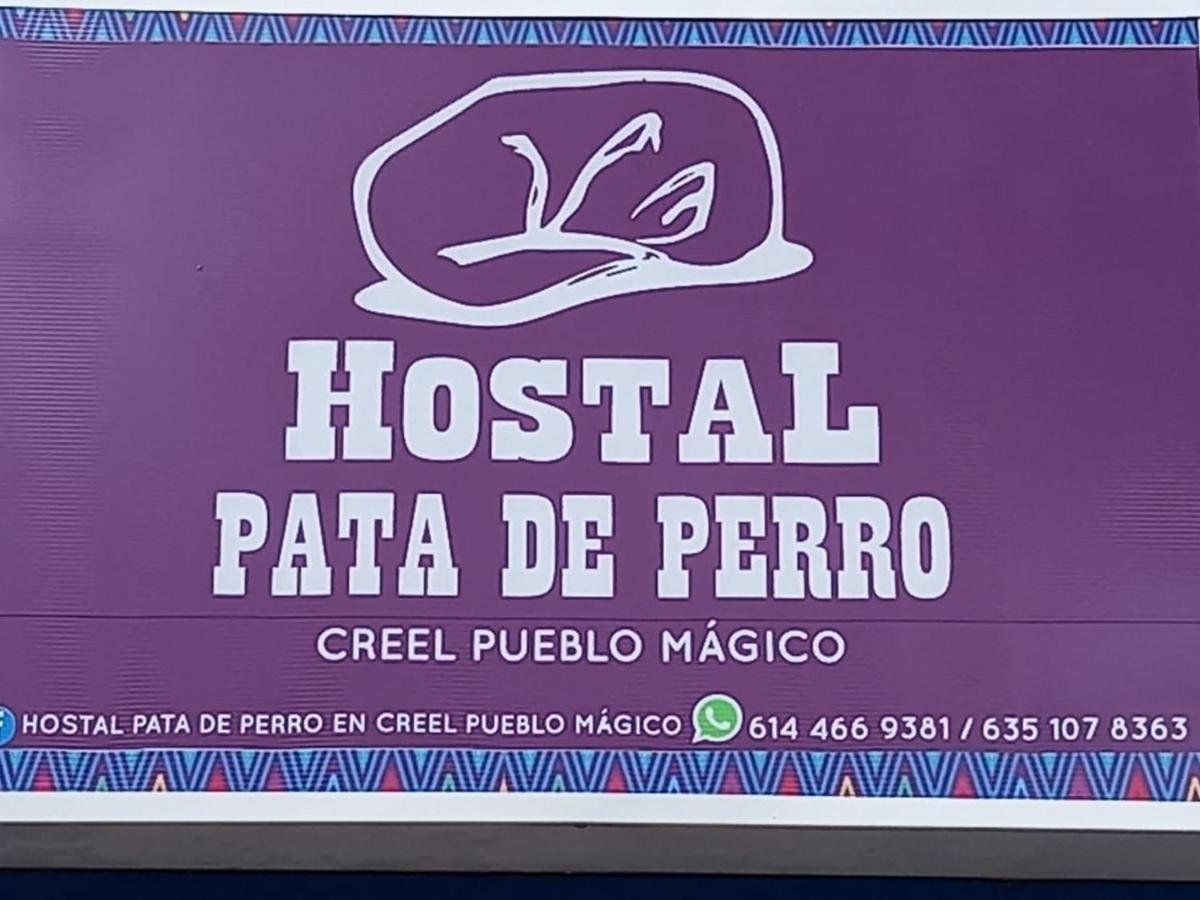 Hostal Pata De Perro Креэль Экстерьер фото